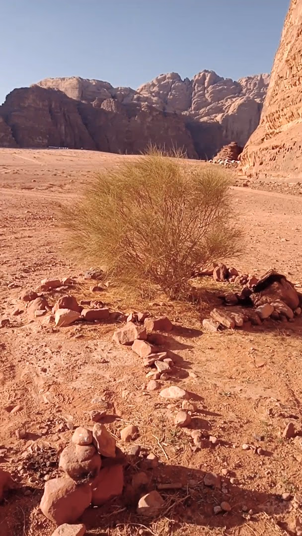Main photo of Alomrani camp