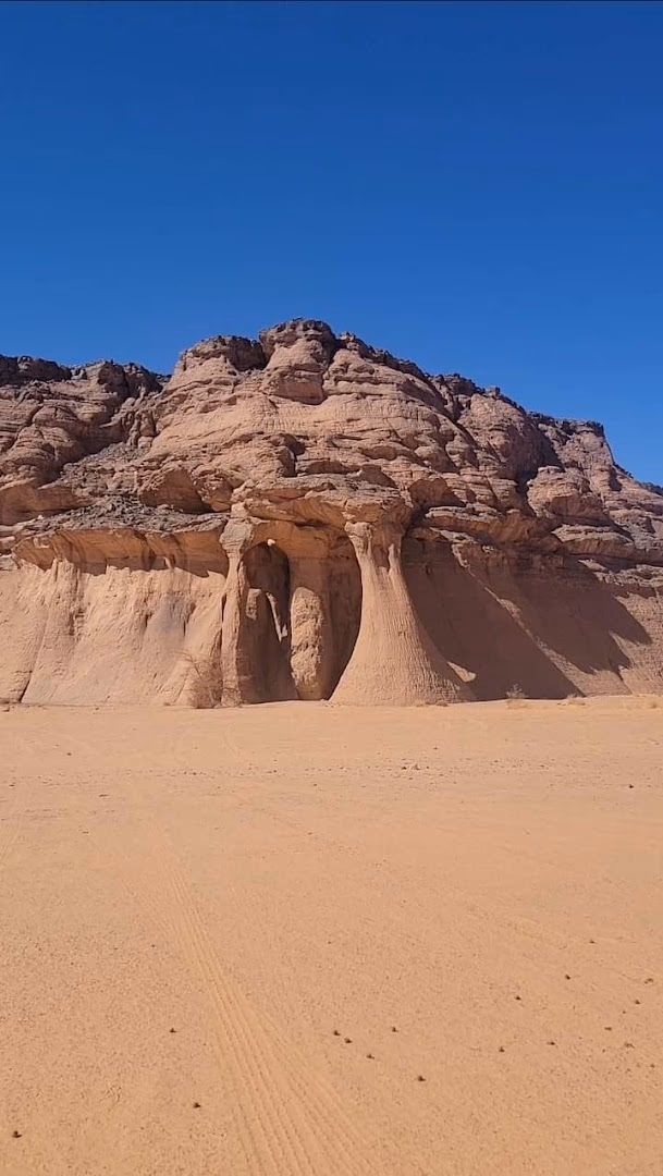Main photo of Alomrani camp