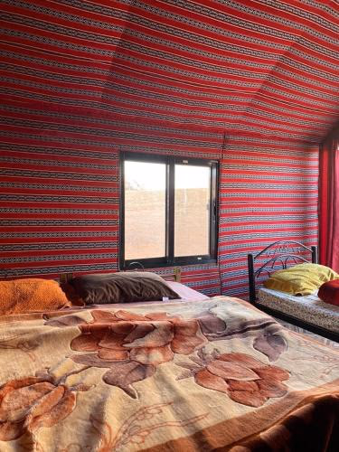 Main photo of Alomrani camp