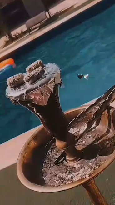 صورة مصغرة 9 من 9