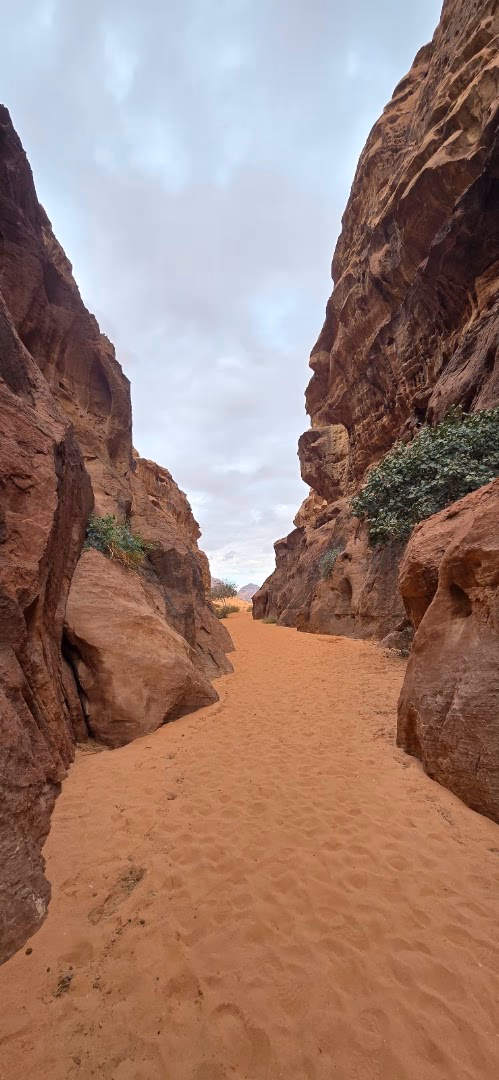 Main photo of Wadi Rum Gate Camp