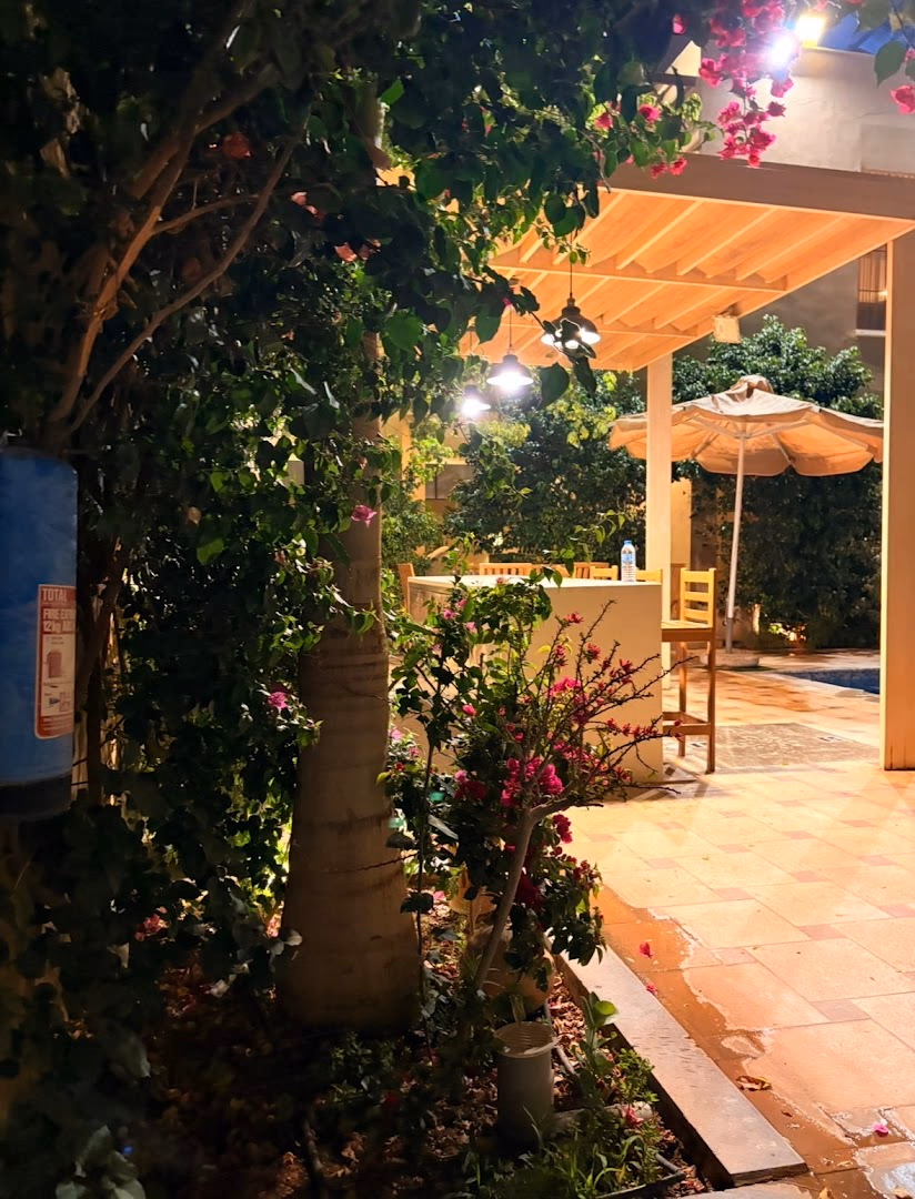 صورة مصغرة 8 من 9