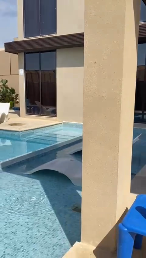صورة مصغرة 2 من 9