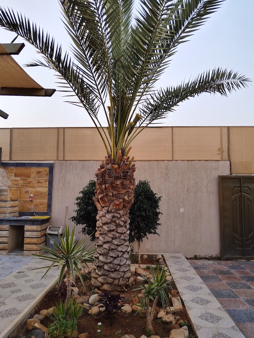 صورة مصغرة 4 من 9