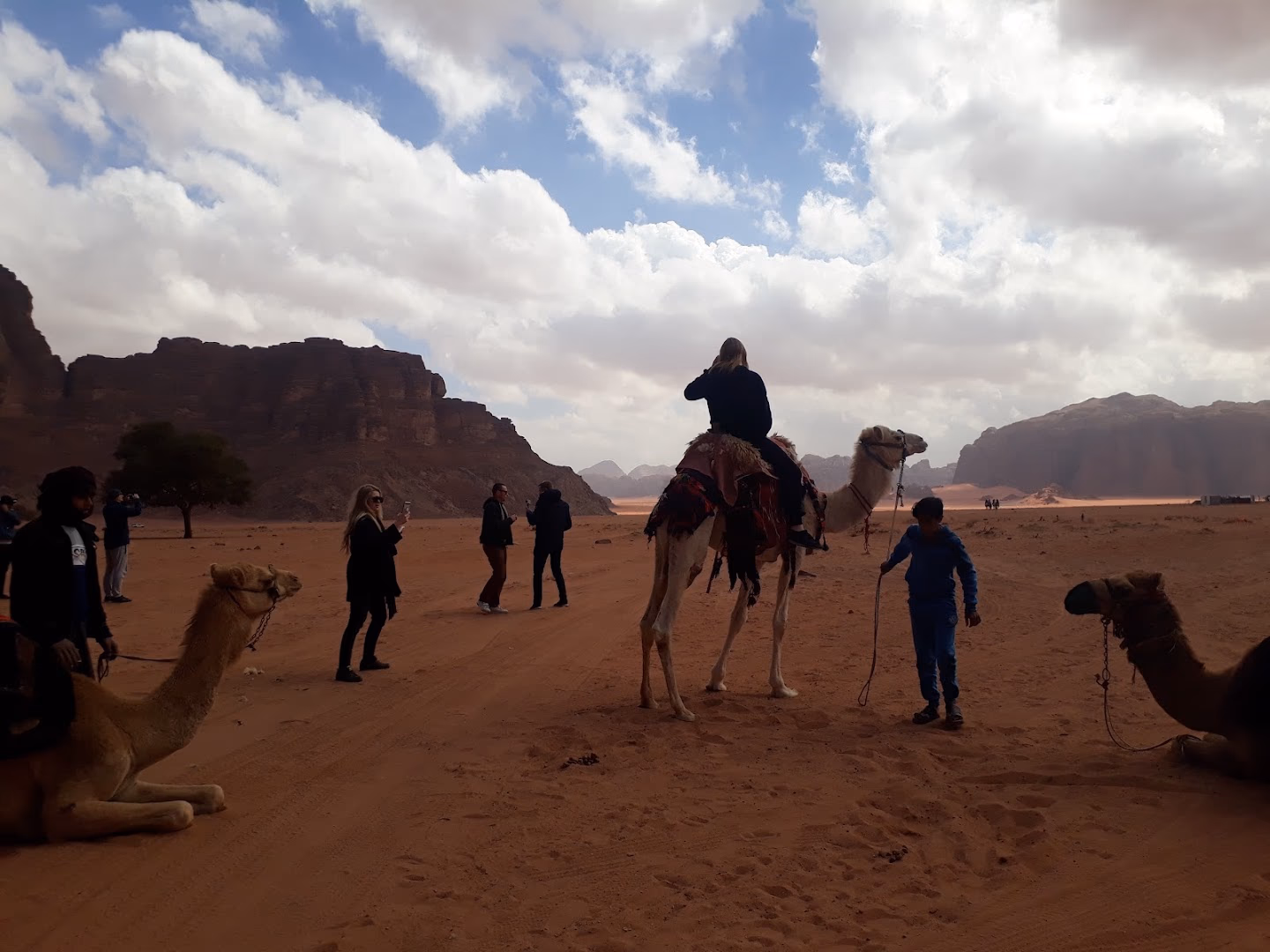 Main photo of Wadi Rum Camp