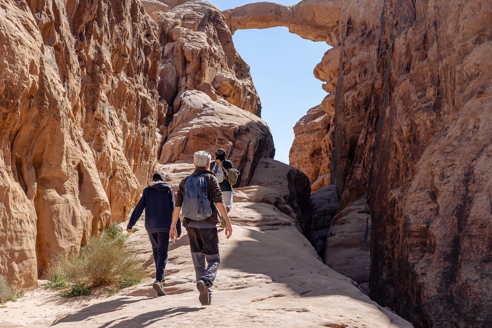 Main photo of Wadi Rum Camp