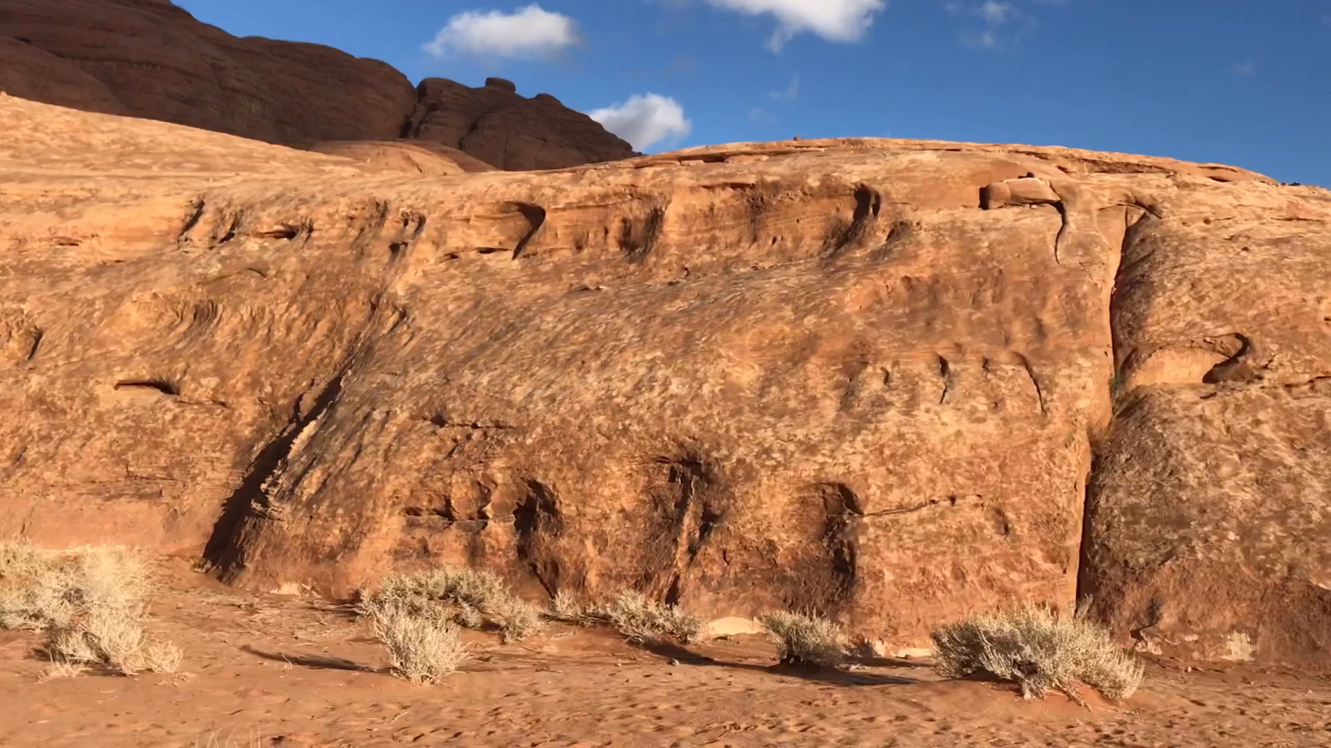 Main photo of Wadi Rum Camp