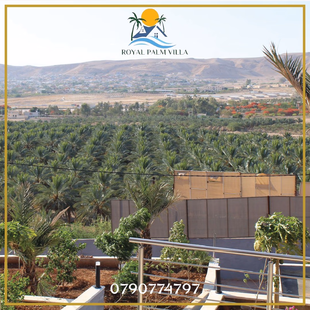 صورة مصغرة 2 من 3