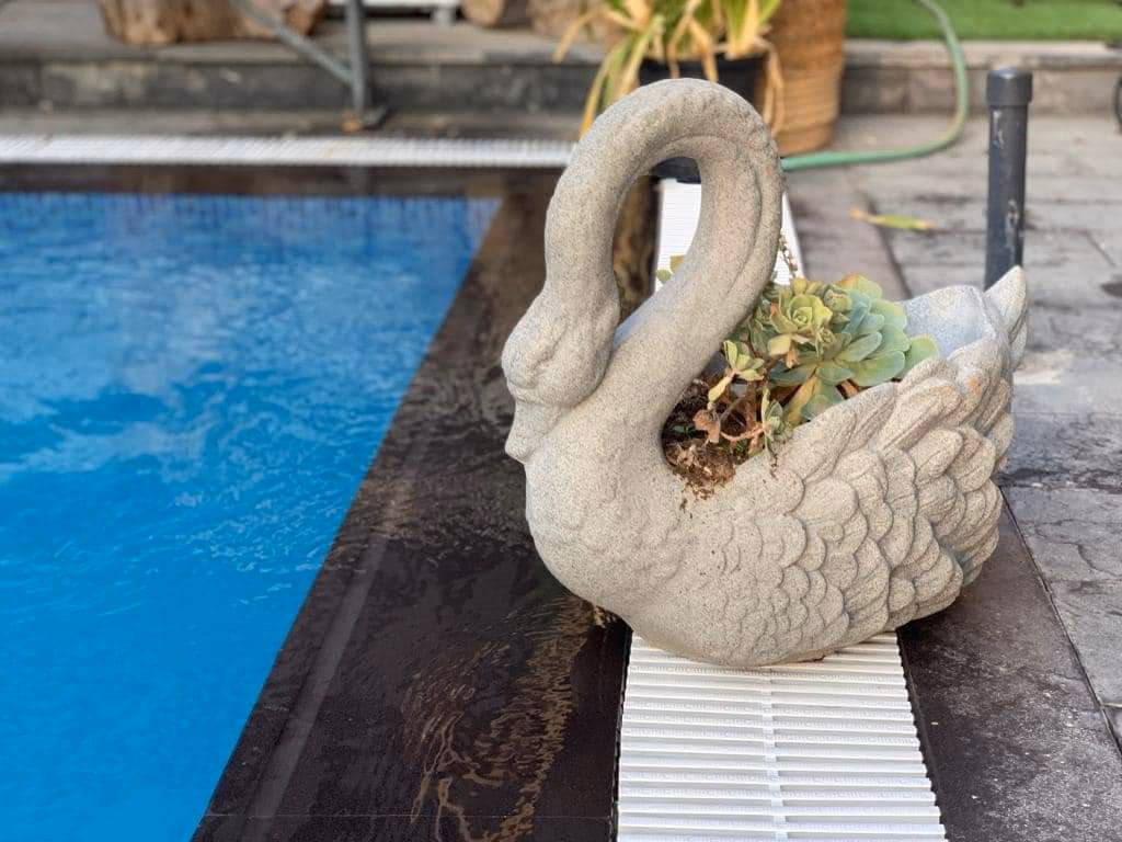 صورة مصغرة 2 من 6