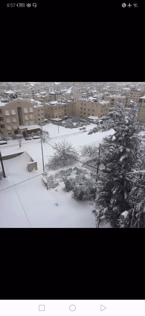 صورة مصغرة 8 من 9