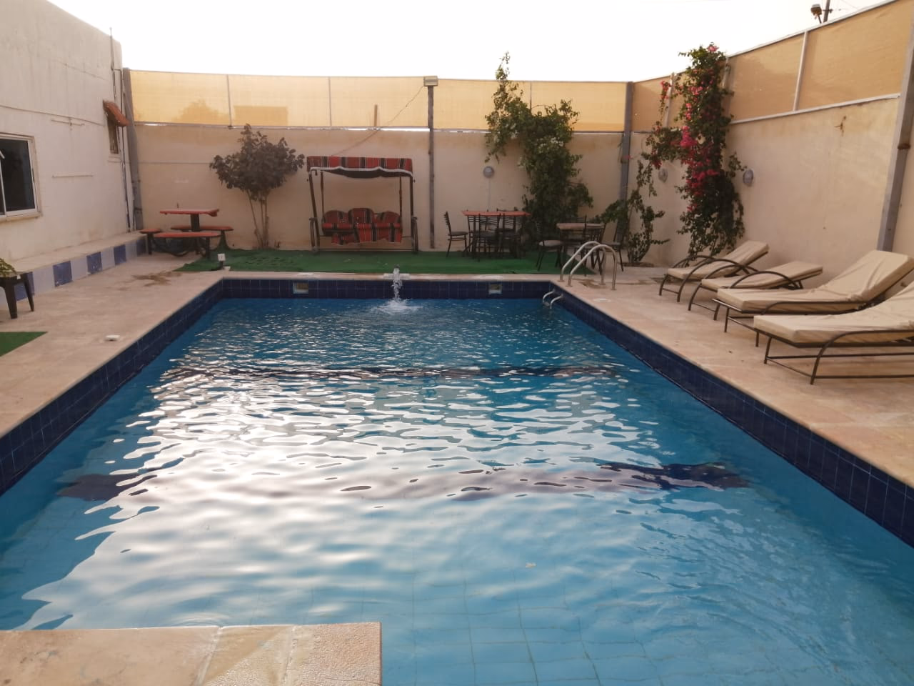 صورة مصغرة 2 من 9