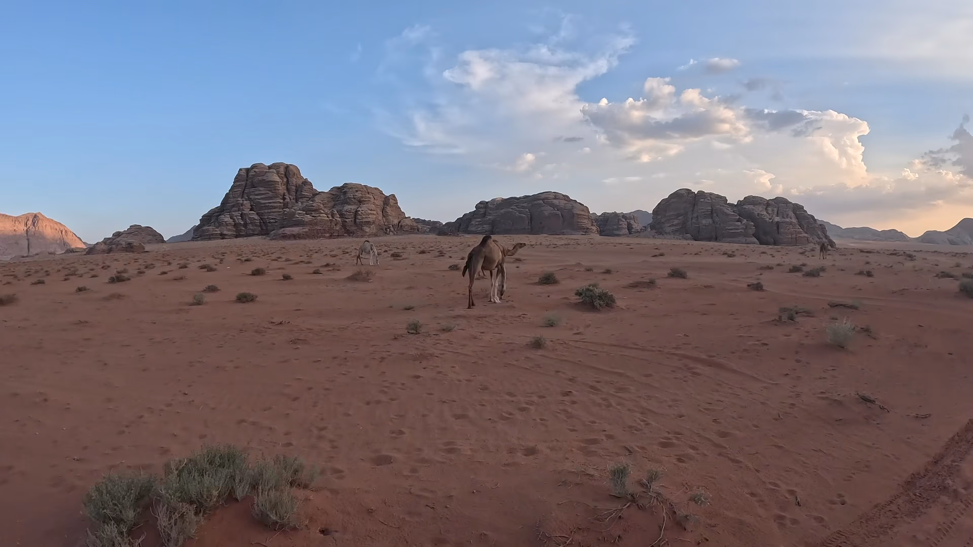 Main photo of Magic Bedouin Star camp