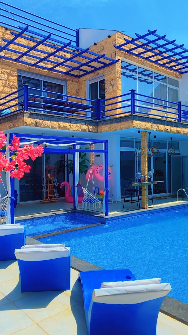 صورة مصغرة 4 من 8