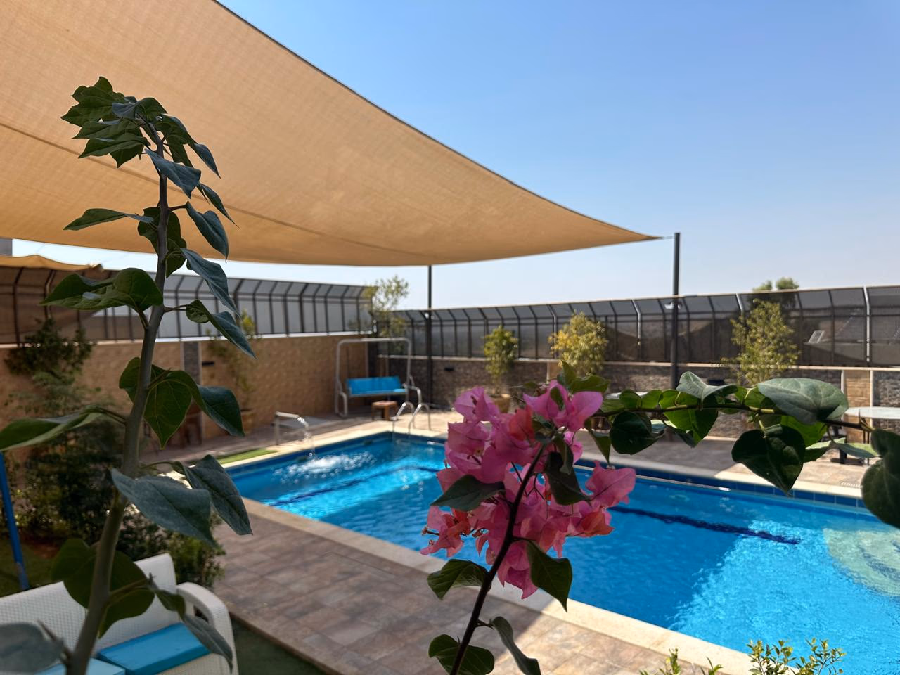 صورة مصغرة 9 من 9