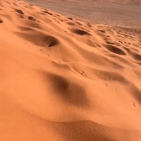 صورة رئيسية لشاليه جولات وادي رم، مخيم صالح سفاري