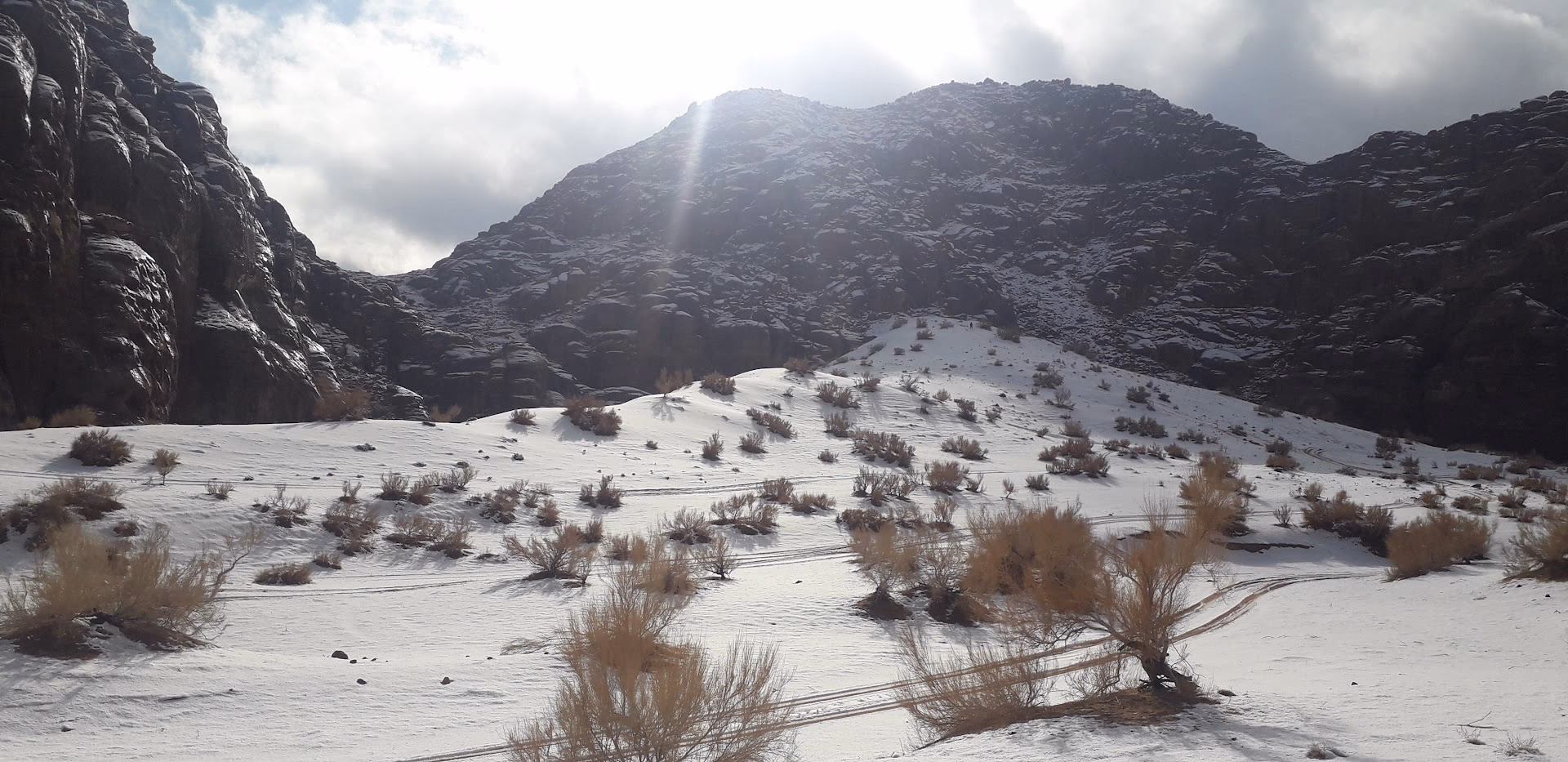 Main photo of Hala Rum camp