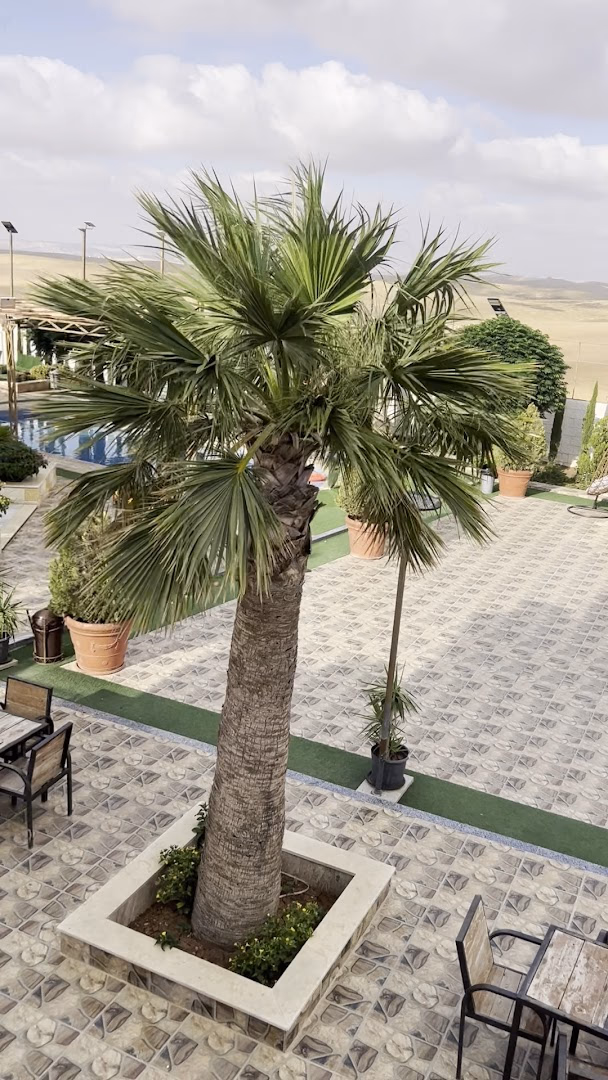 Main photo of al haibah chalet