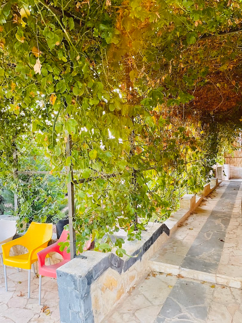 Main photo of Al Rayyan Farm and Camp