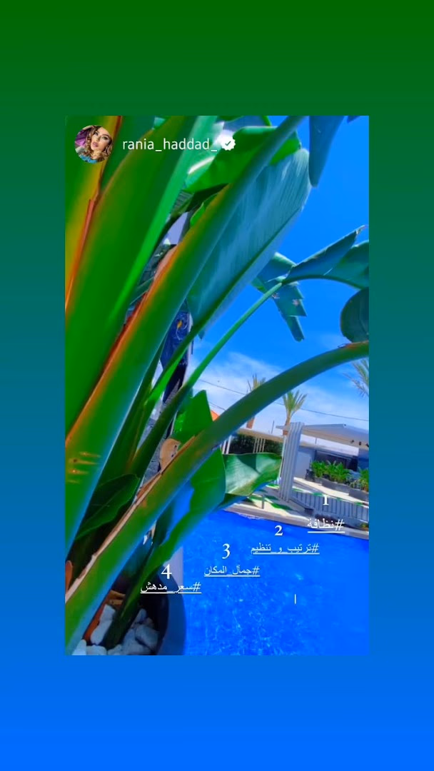 صورة مصغرة 8 من 9