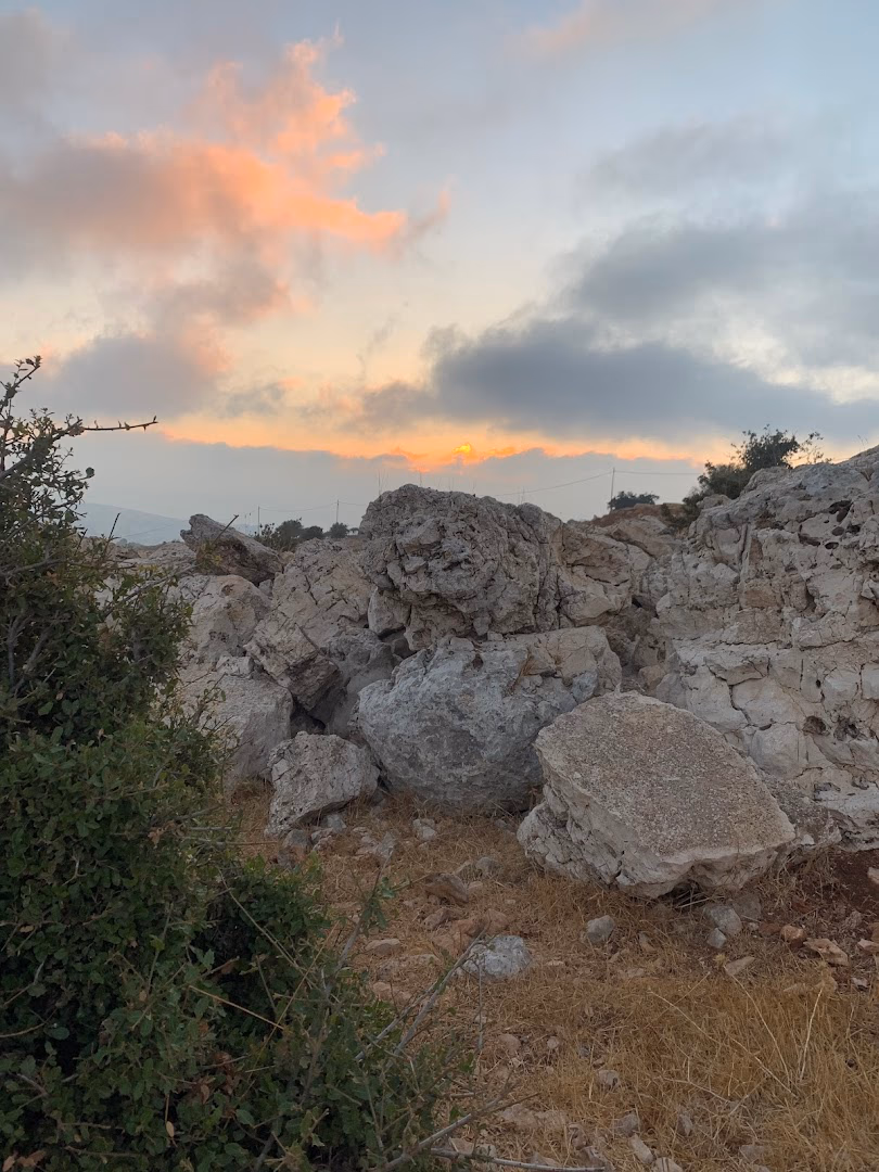 صورة رئيسية لشاليه مزارع دار الزين