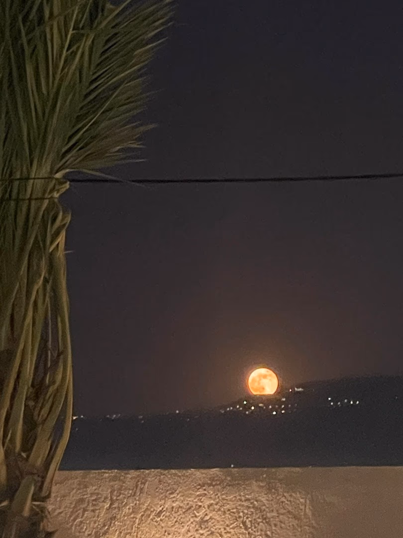 صورة مصغرة 7 من 9