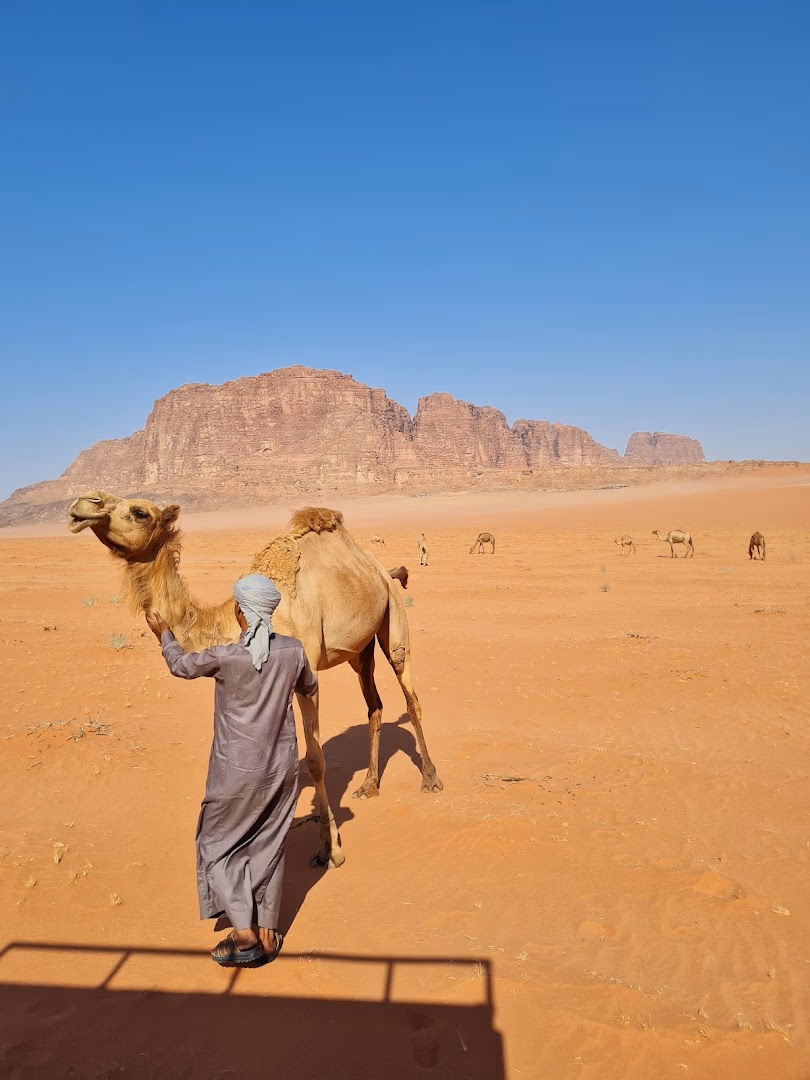 Main photo of Desert shine camp