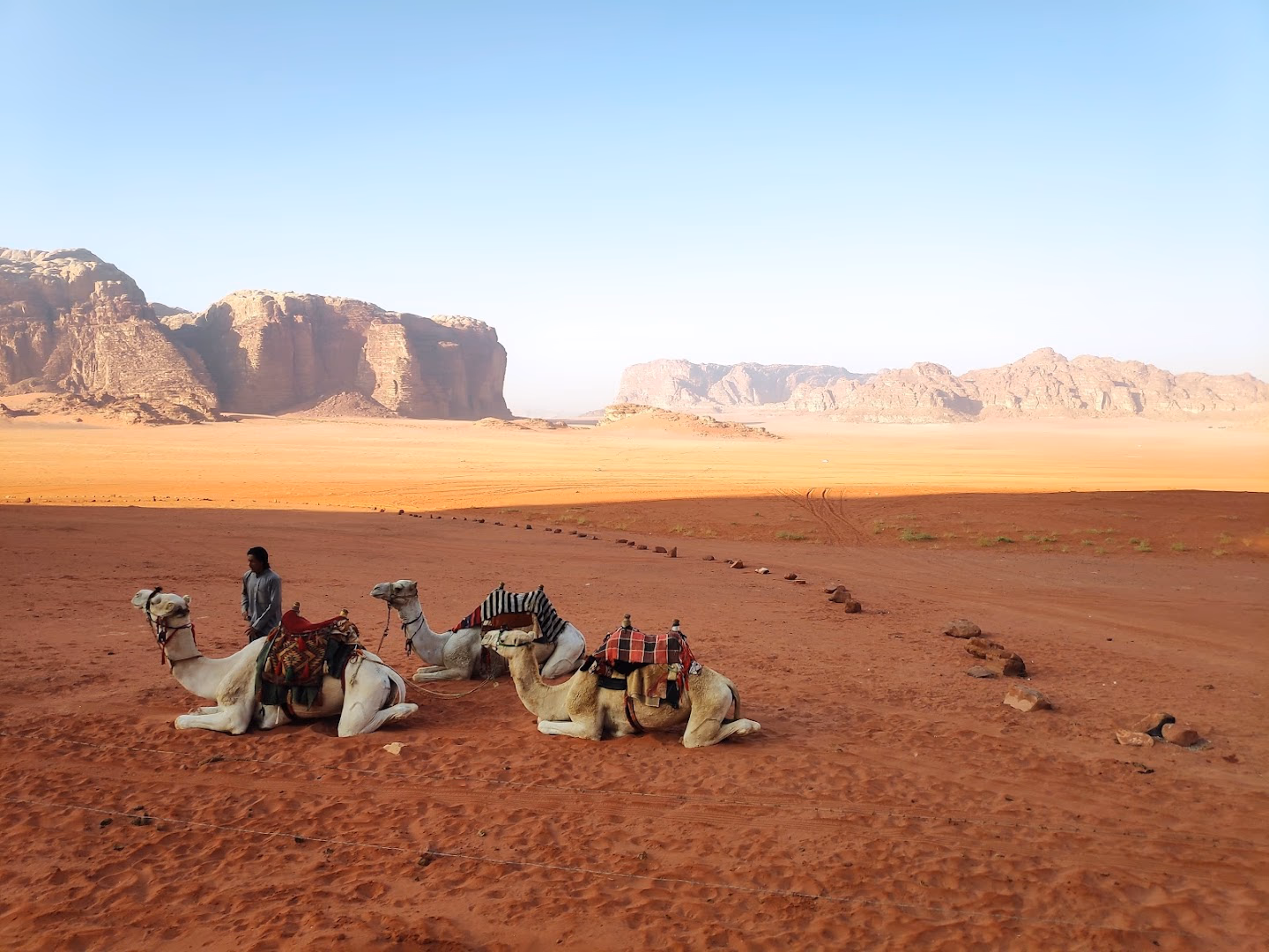 Main photo of Petra Caravan Camp