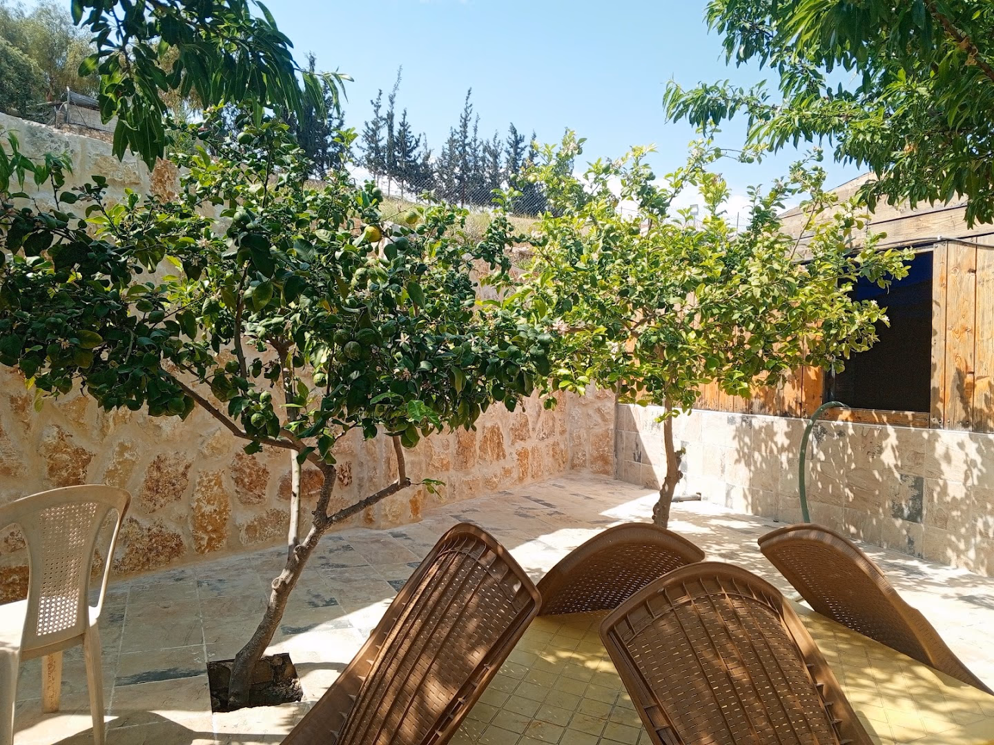 Main photo of Beit Rif Irbid Farm