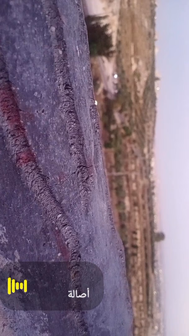 Main photo of Beit Rif Irbid Farm