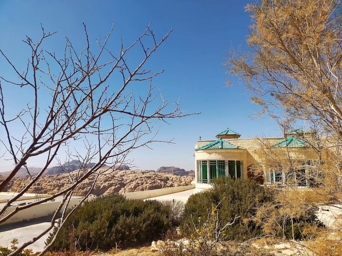 Main photo of Petra Fig Tree Villa Bed and Breakfast