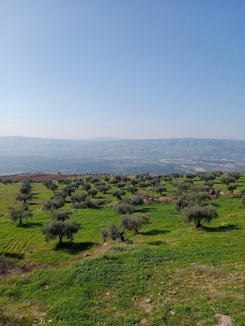 Main photo of rosemary farm