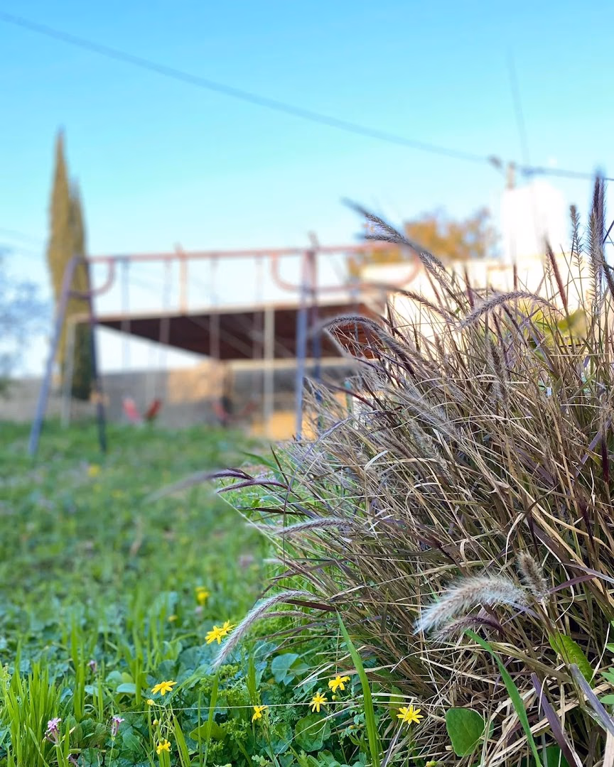 Main photo of rosemary farm