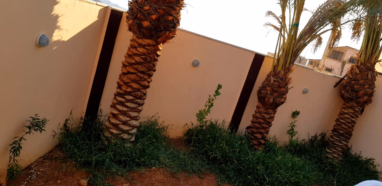 صورة مصغرة 6 من 9