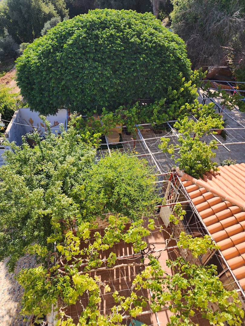 Main photo of Islam Ayat Farm and Chalet