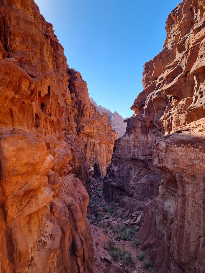 Main photo of Enjoy Wadi Rum camp