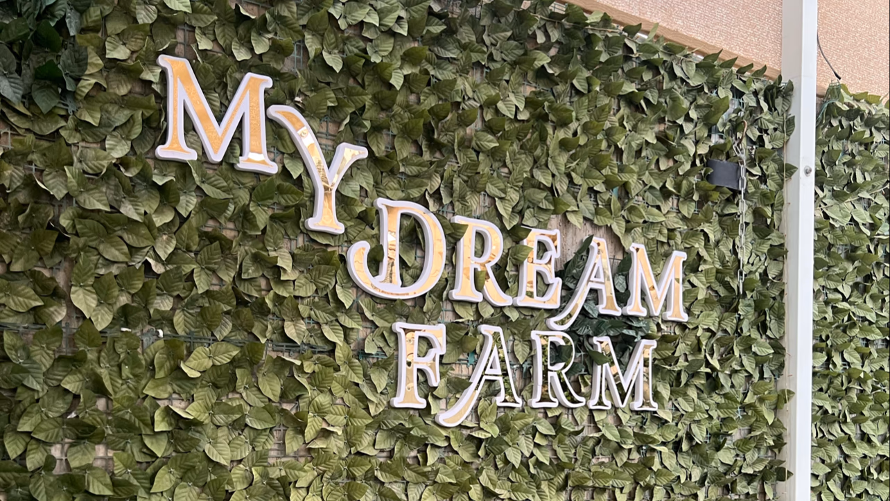 My dream farm