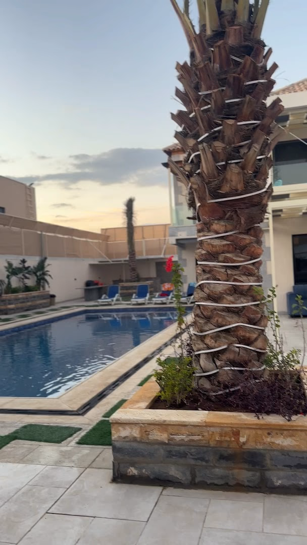 صورة مصغرة 2 من 8