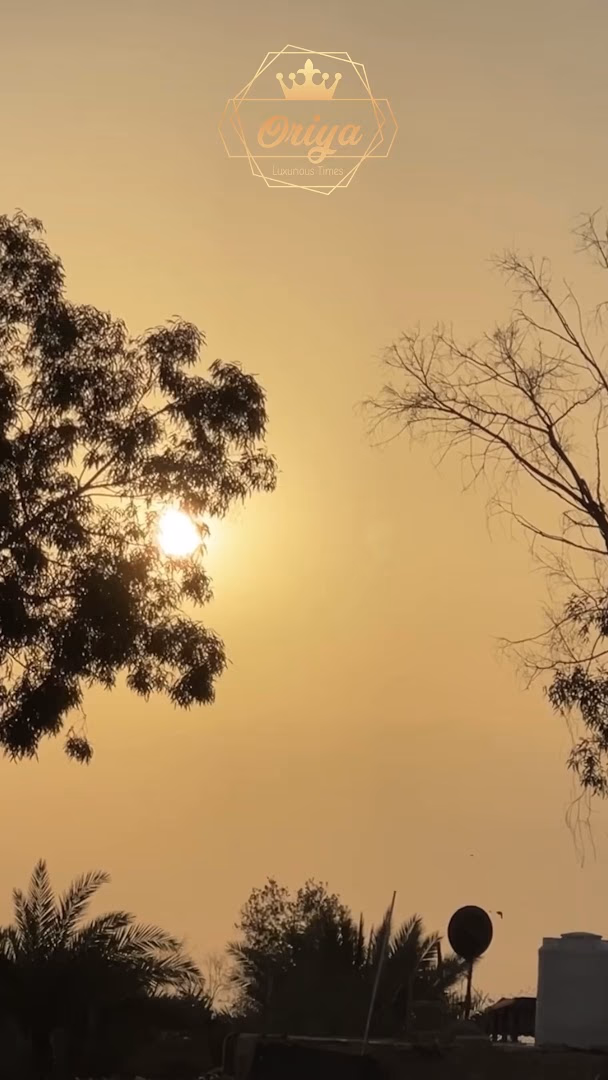 صورة مصغرة 2 من 9