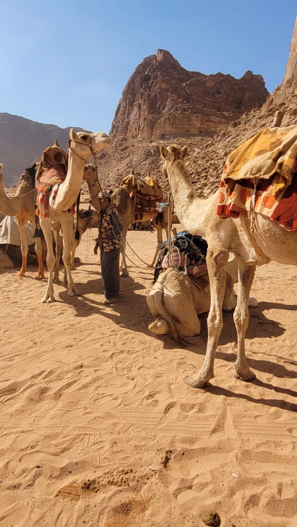 Main photo of Bedouin camping tours in Wadi Rum