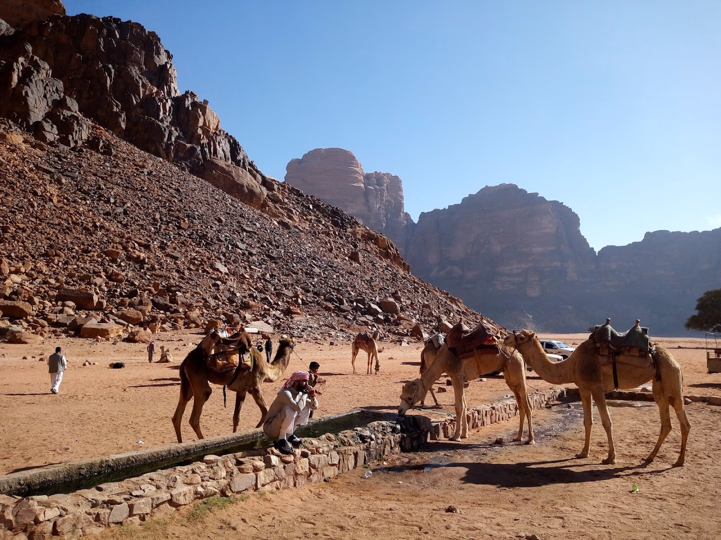Main photo of Bedouin camping tours in Wadi Rum
