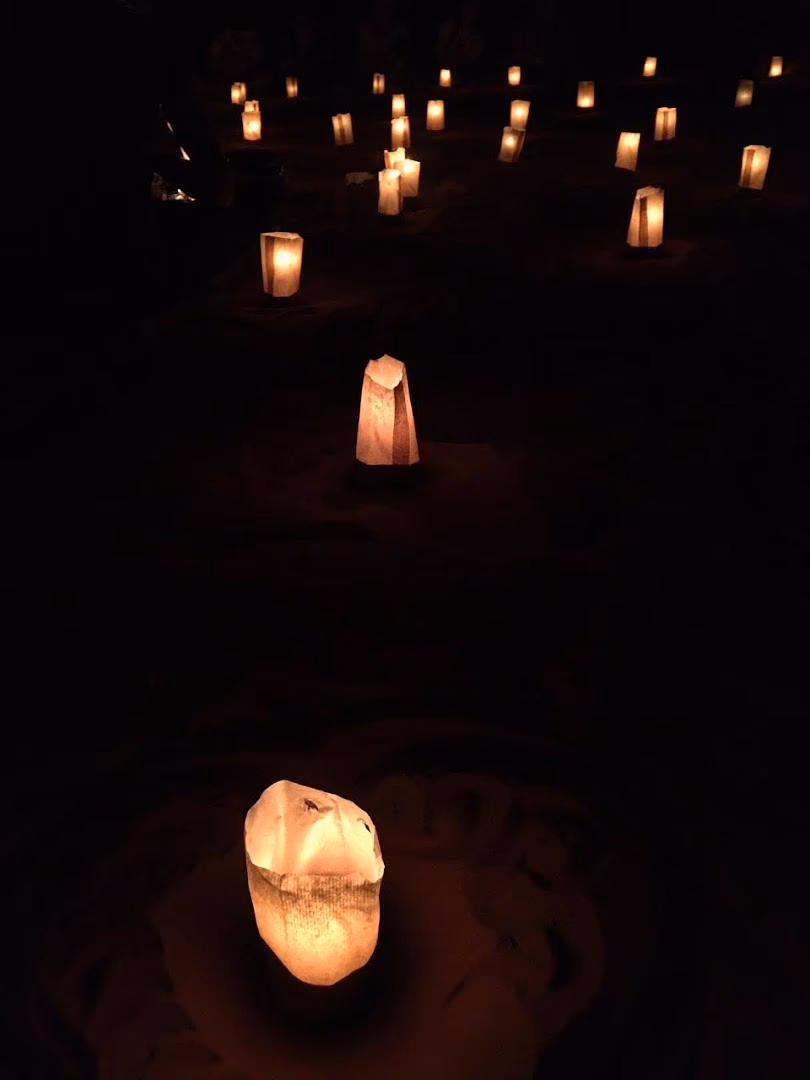 Main photo of Bedouin camping tours in Wadi Rum