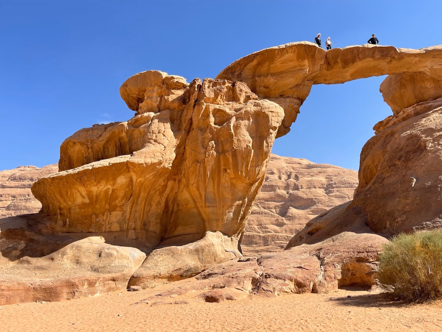 Main photo of Desert Dream Camp
