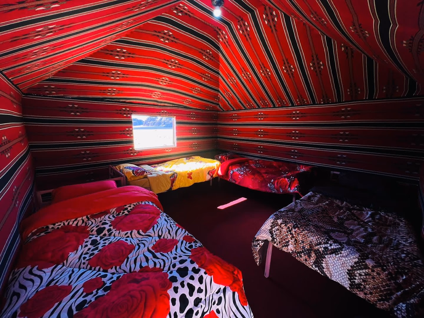 Main photo of Bedouin Host Camp