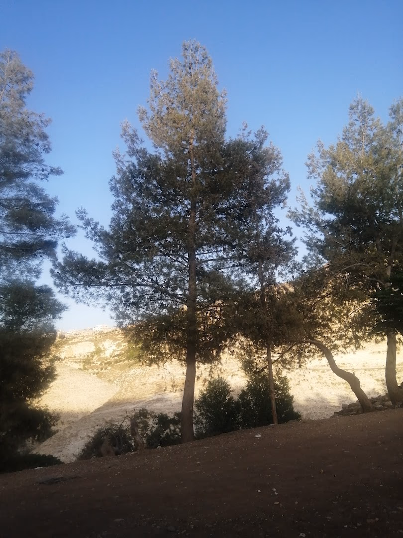 Main photo of Rahoub Springs Farm