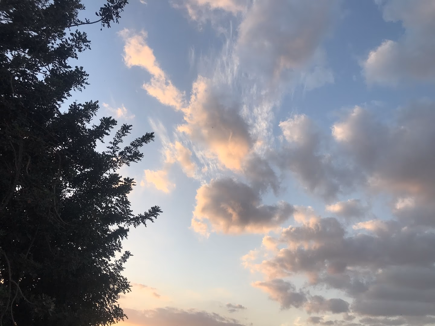 صورة مصغرة 7 من 8