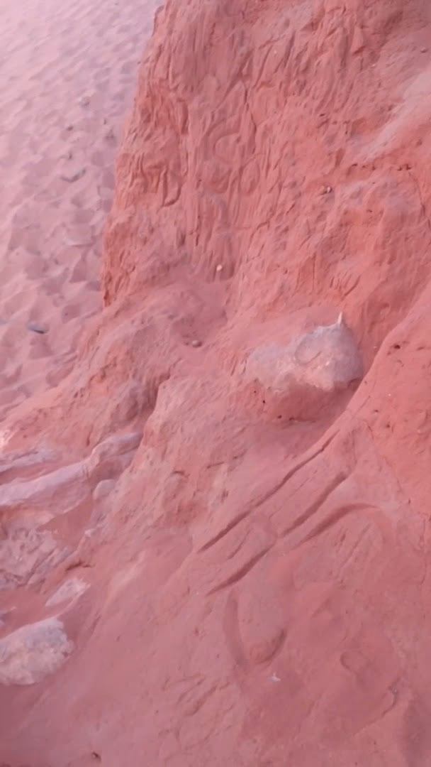 Main photo of Wadi Rum Bedouin Camp
