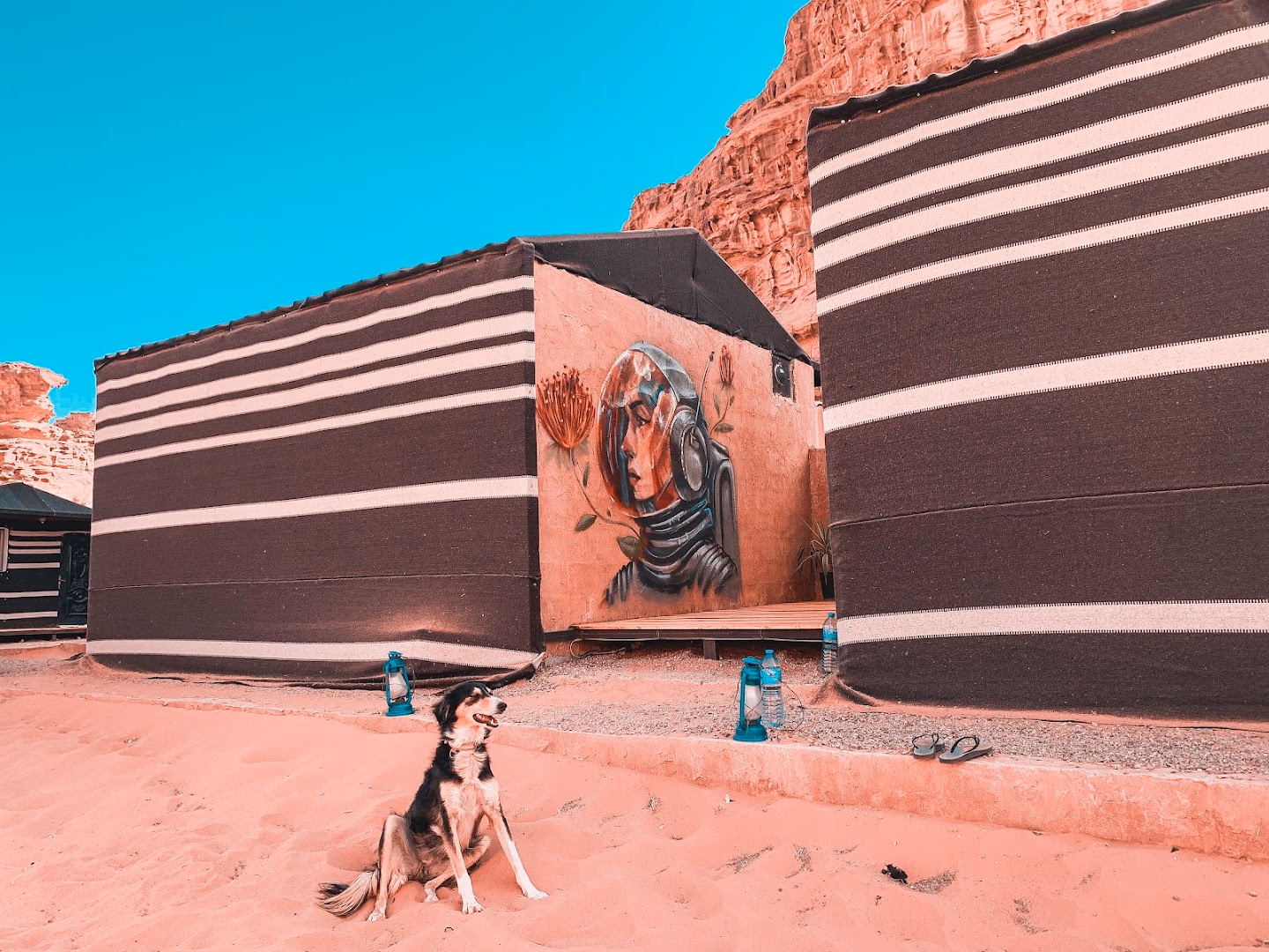 Main photo of Martian Desert Camp