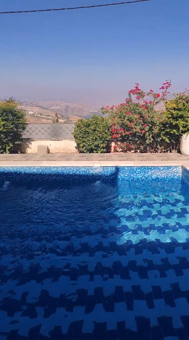 Main photo of Mountain View Chalets