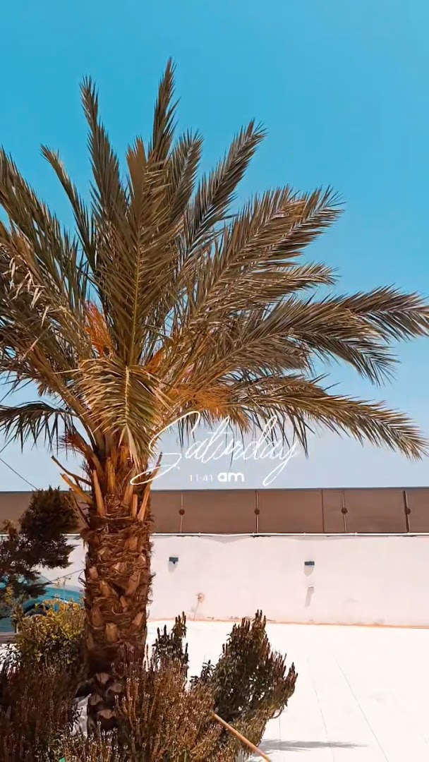 صورة مصغرة 8 من 9