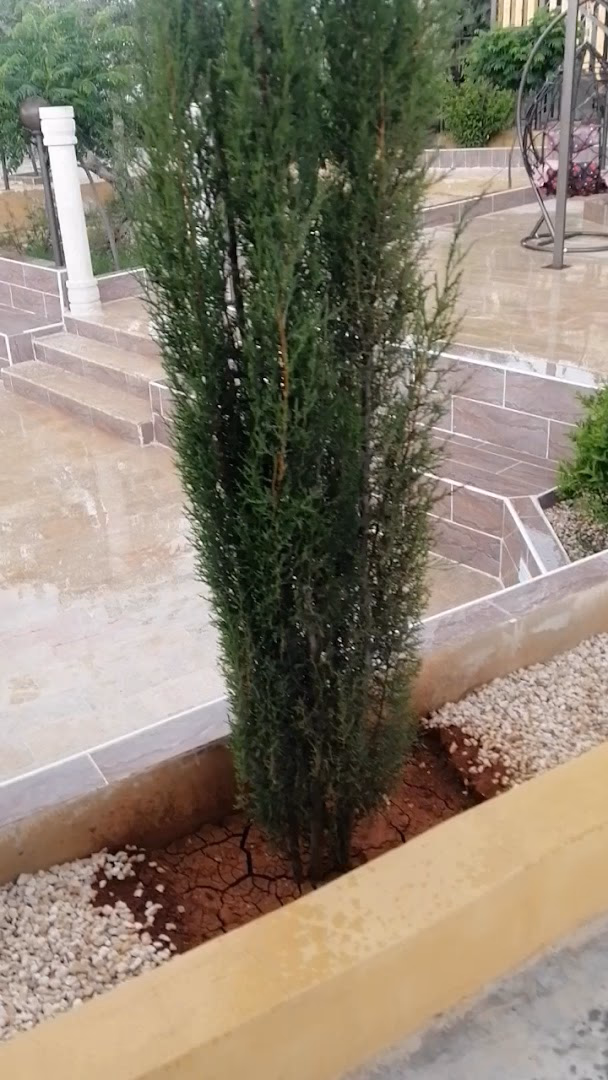 Main photo of Miral Farm